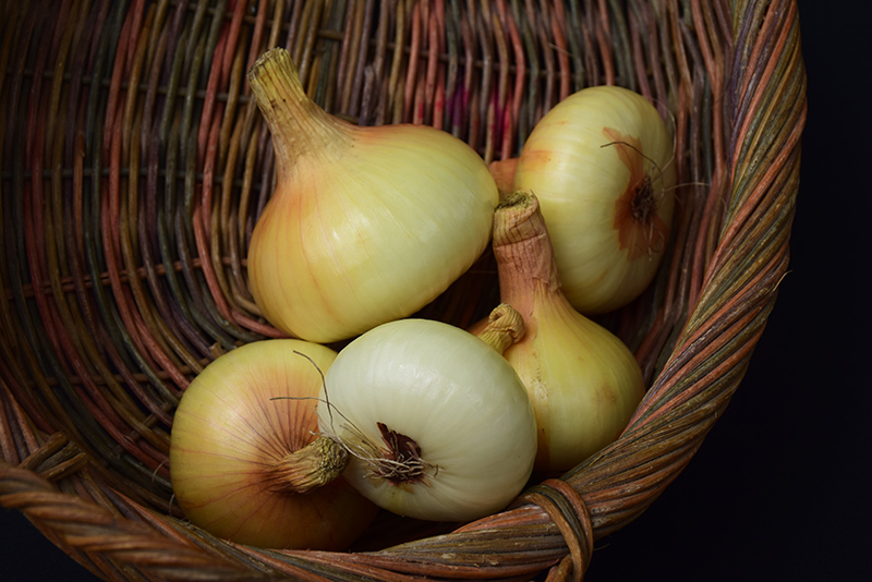 Yellow Granex Onion (Allium cepa 'Yellow Granex') at Green Thumb Nursery